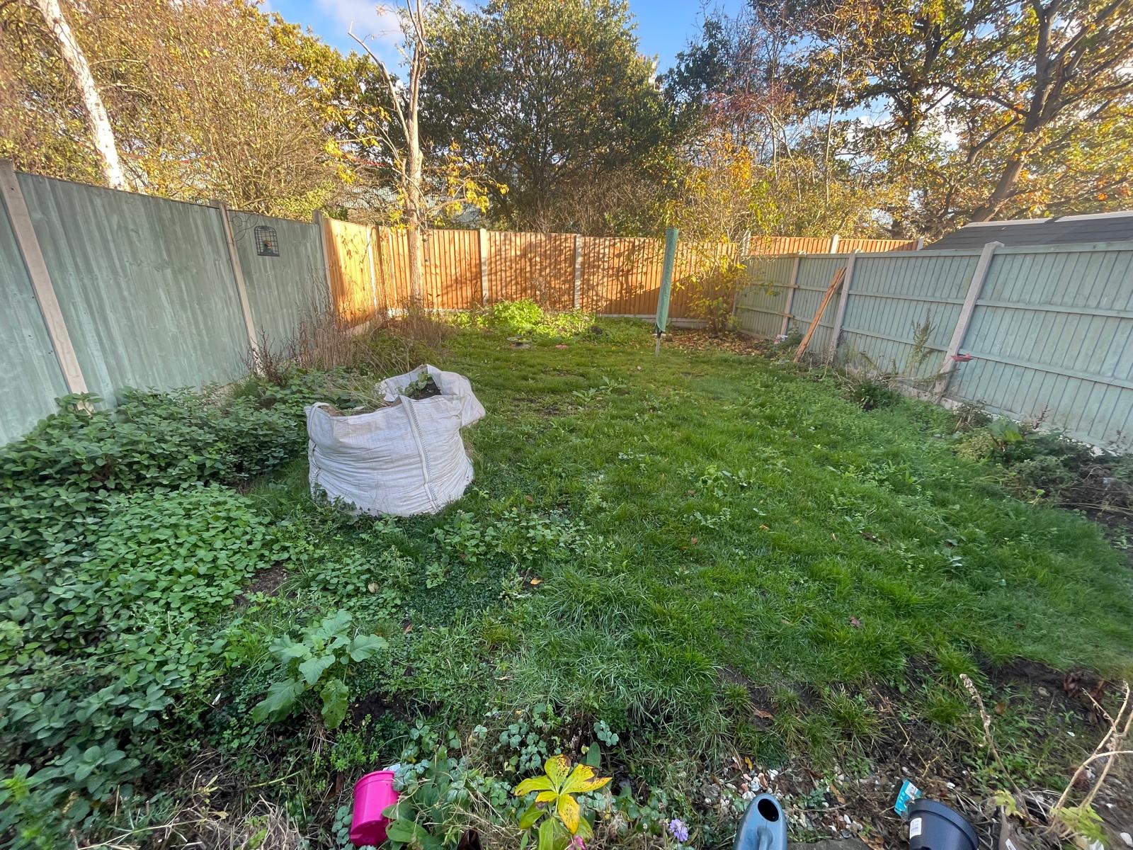 Before landscaping work showing an overgrown garden ready for transformation